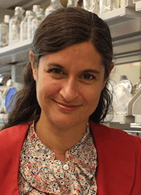 Susanne E. Ahmari,  MD, PhD